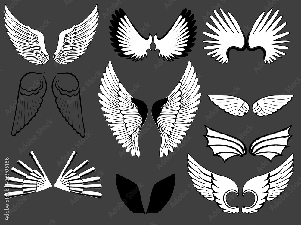 Creative Wings Collection Stock Vector | Adobe Stock