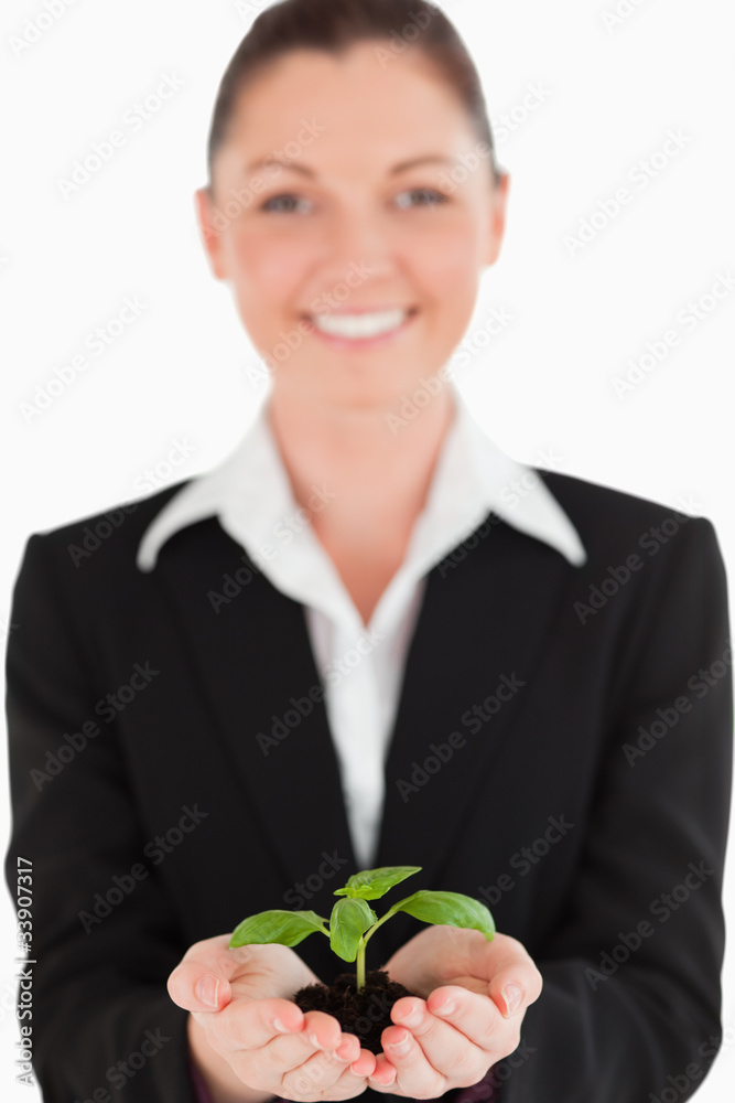 Charming woman in suit holding a small plant Charming woman in suit holding a small plant