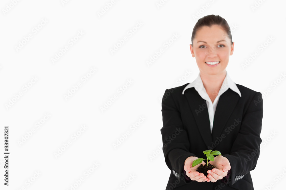 Good looking woman in suit holding a small plant Good looking woman in suit holding a small plant