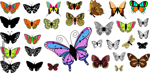 Beautiful Butterflies Collection