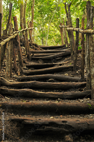 Forest in Guatemala