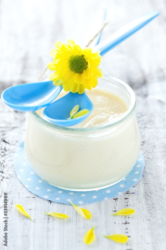 frischer Vanillepudding frischer Vanillepudding