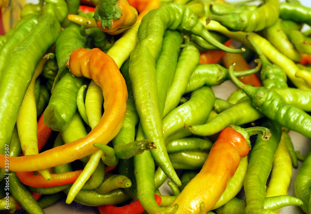 green pepper green pepper
