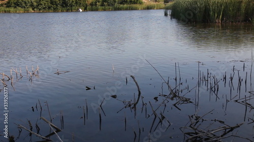 fishing in the lake 2, shoot Canon 5D MarkII photo