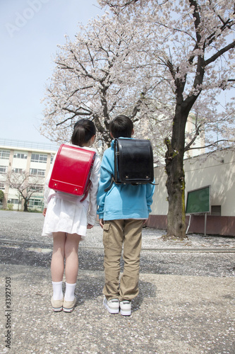 桜の下に立つ小学生男女の後ろ姿