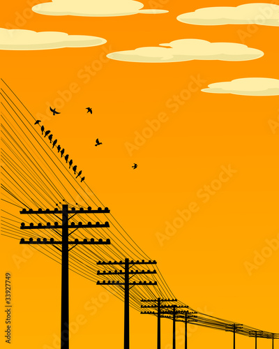 Birds on wire