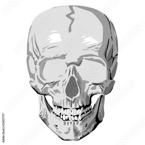 Human skull graphic