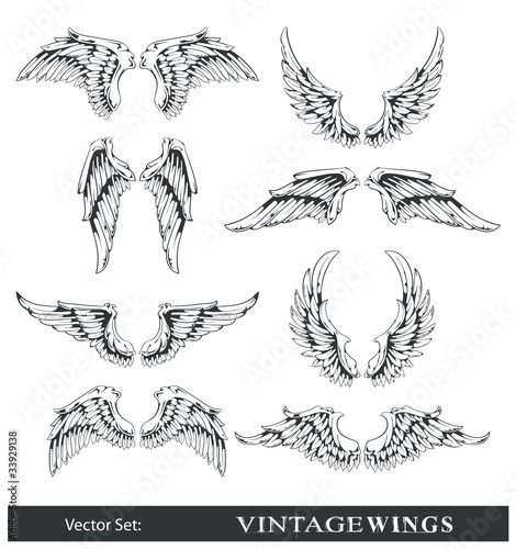 Vector set of wings. All elements are grouped.
