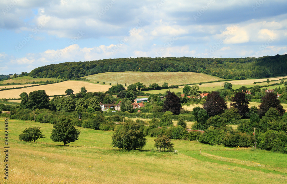 A Rural Landscape in the Chiltern Hills, England