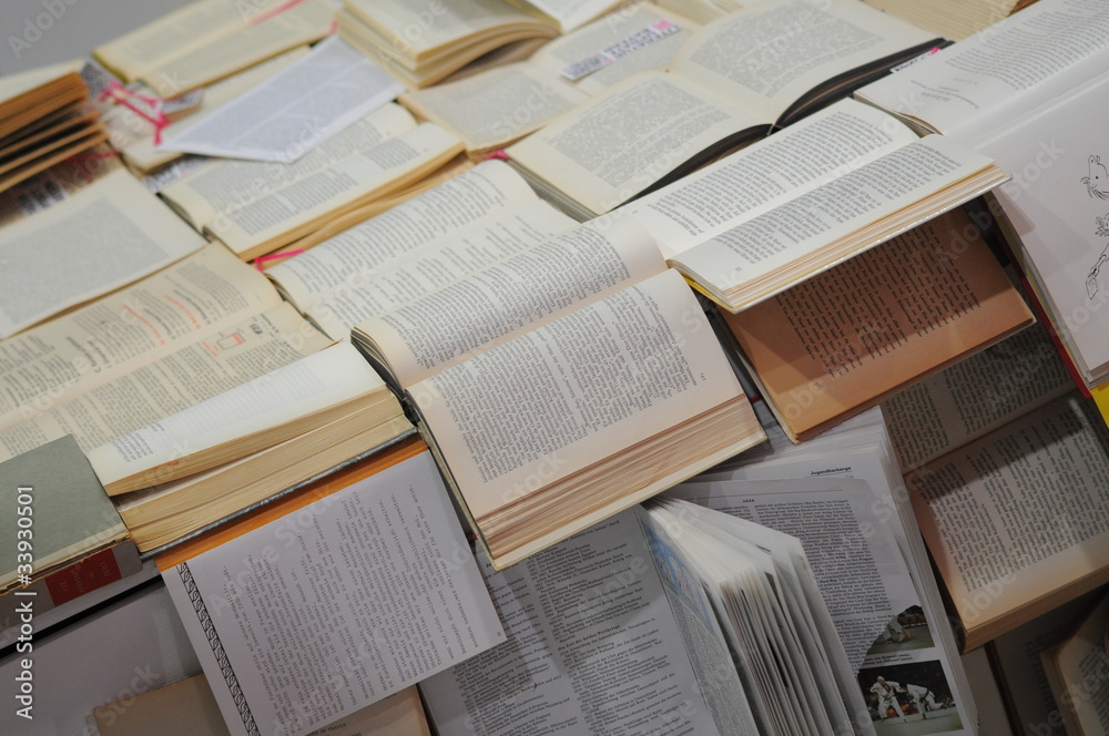 Obraz premium Literatur Massenweise