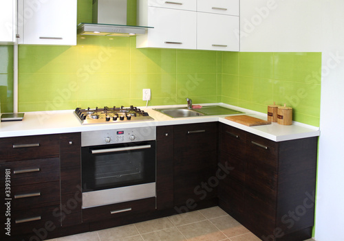 Domestic Kitchen interior, design