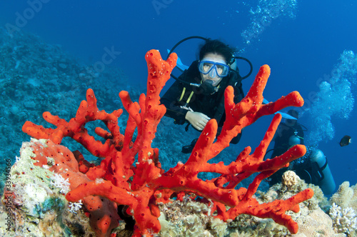 Scuba diver and red coral