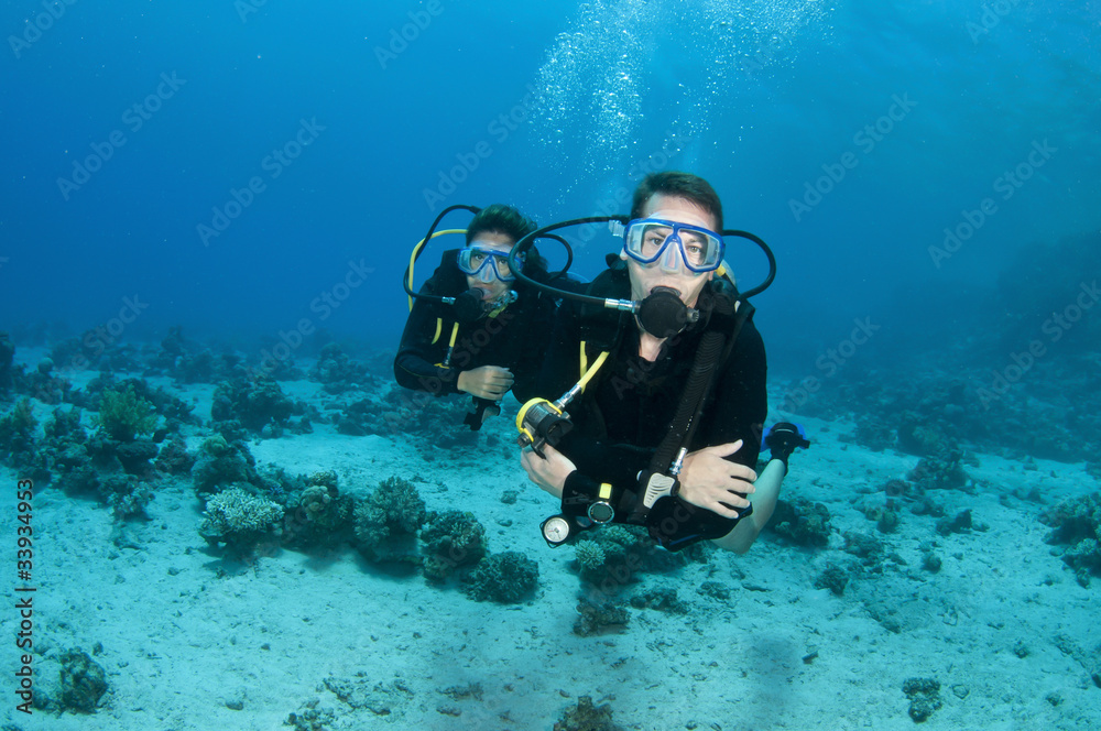 Scuba divers enjoy a dive in the red sea Scuba divers enjoy a dive in the red sea
