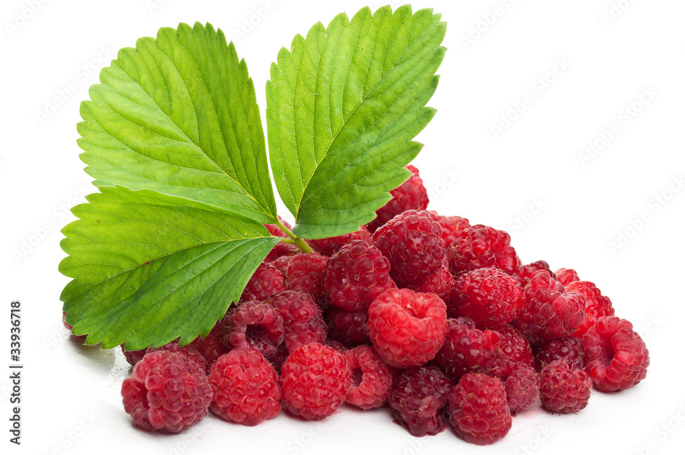 fresh raspberry and green leaf fresh raspberry and green leaf