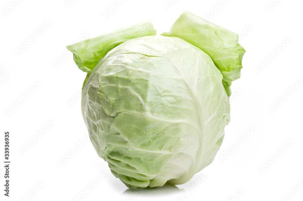 fresh and green cabbage fresh and green cabbage