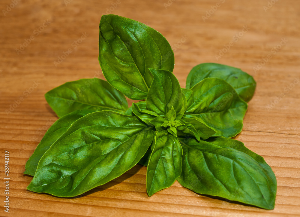 Basil