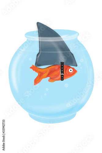 Pesce rosso squalo