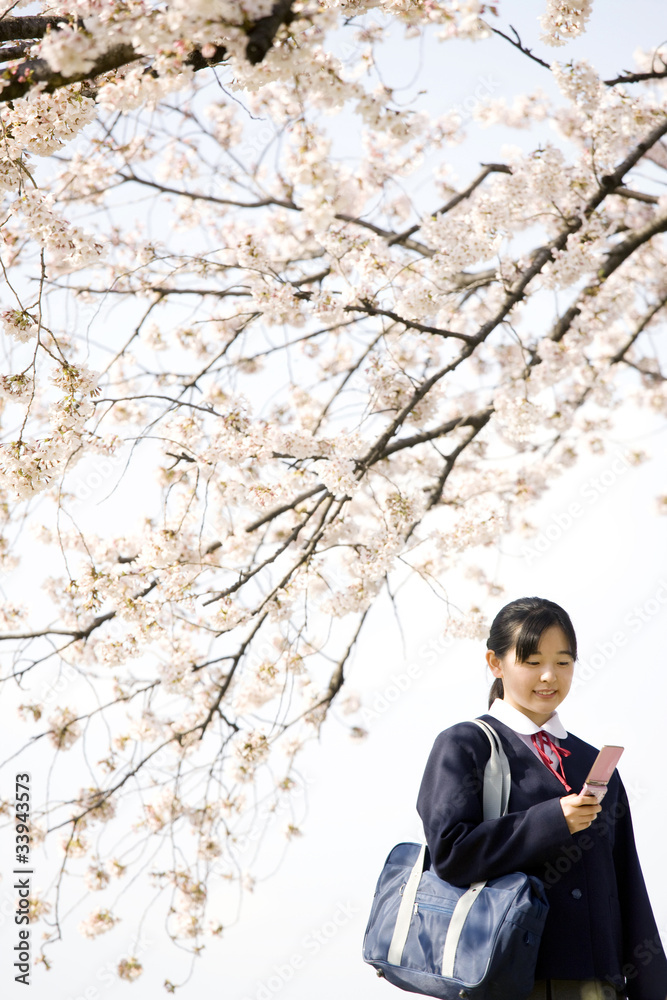 携帯のメールを確認する女子中学生 携帯のメールを確認する女子中学生