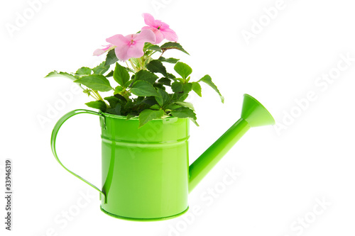 Watering can with flowers