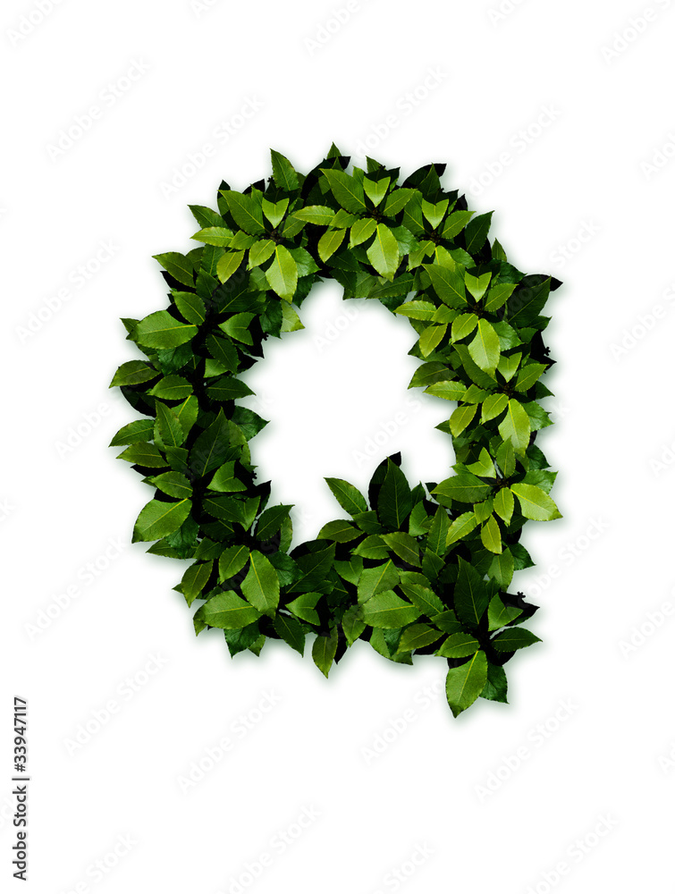 letter leaves Q letter leaves Q