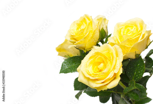 Beautiful bouquet of yellow roses