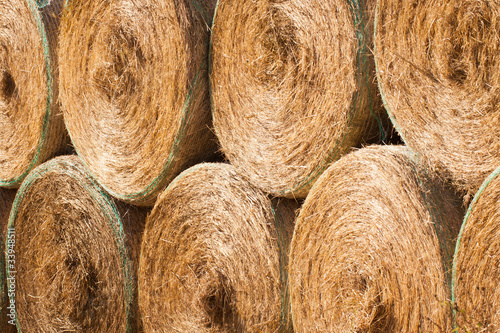 Stack of round hay bales drying outdoors