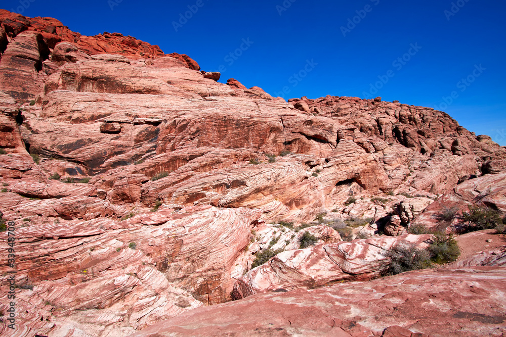 Fototapeta premium View of Mojave Desert.