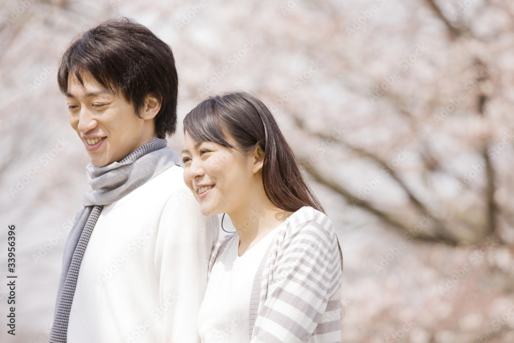 花見をするカップル 花見をするカップル