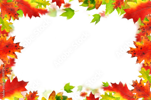 autumn leaves background with free space for text