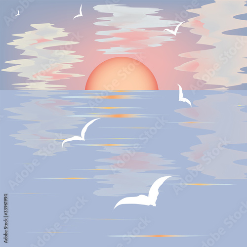Seascape with sunset and seagulls