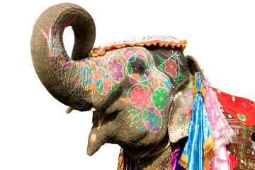 Wandcirkels India Beschilderde olifant tijdens Holi Jaipur  © SIRIUS*
