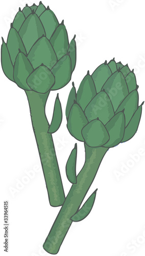 carciofo