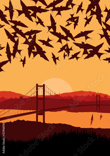 Flying swallow swarm over magic Turkish city landscape