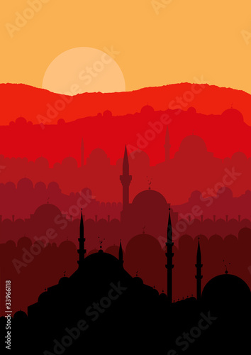 Turkish city Istanbul landscape vector
