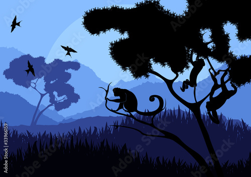 Monkey family in wild nature