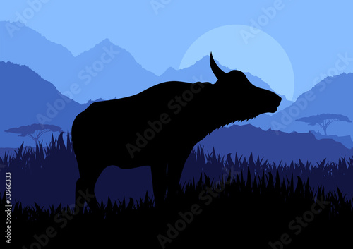 Water buffalo in wild nature landscape