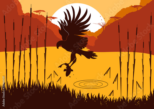 Osprey hunting fish in wild nature