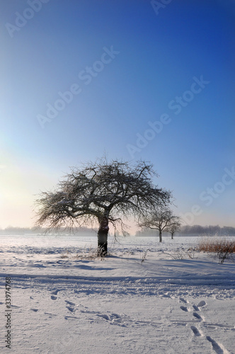 Je marche seul photo