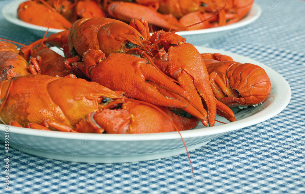 red as a lobster red as a lobster