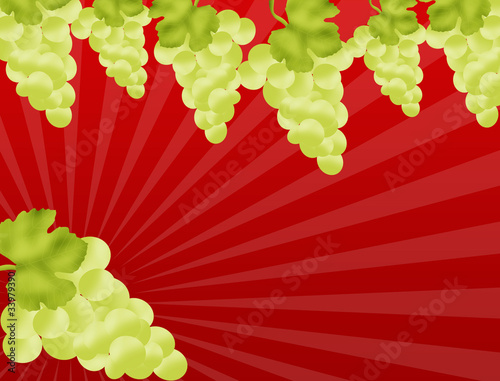 Grapevine border