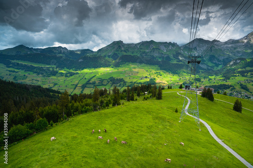 Swiss Alpine meadow under cable car way. Iltios mountain photo