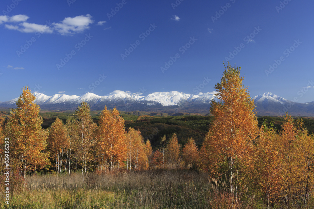 紅葉と十勝岳連峰