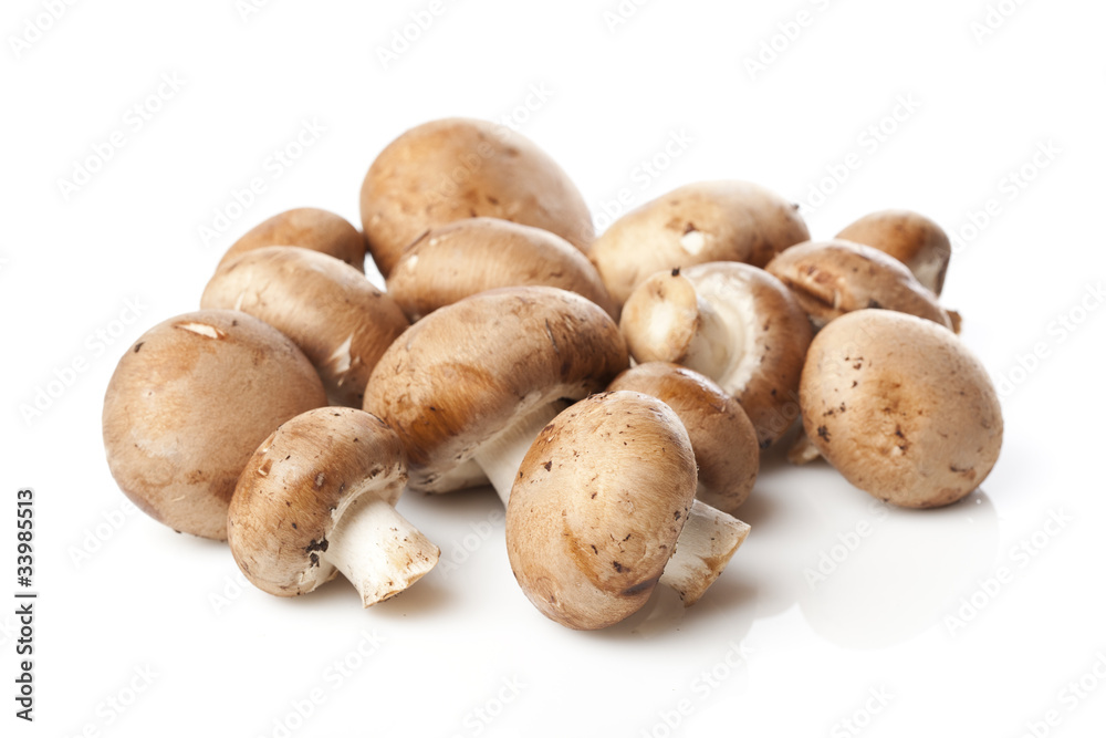 A fresh brown mushroom A fresh brown mushroom