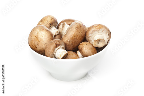 A fresh brown mushroom