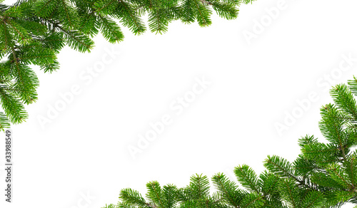 Rahmen aus Tannenzweigen