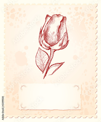 Vintage background with rose