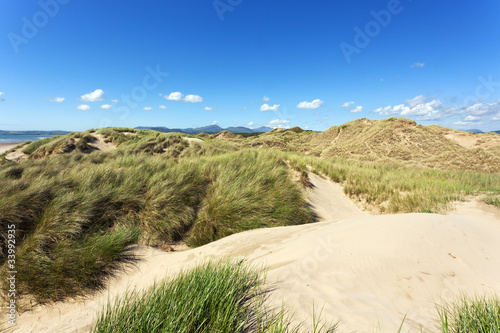 Dunes at the Irish Sea