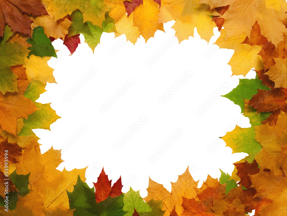 Framework from autumn leaves on a white background Framework from autumn leaves on a white background