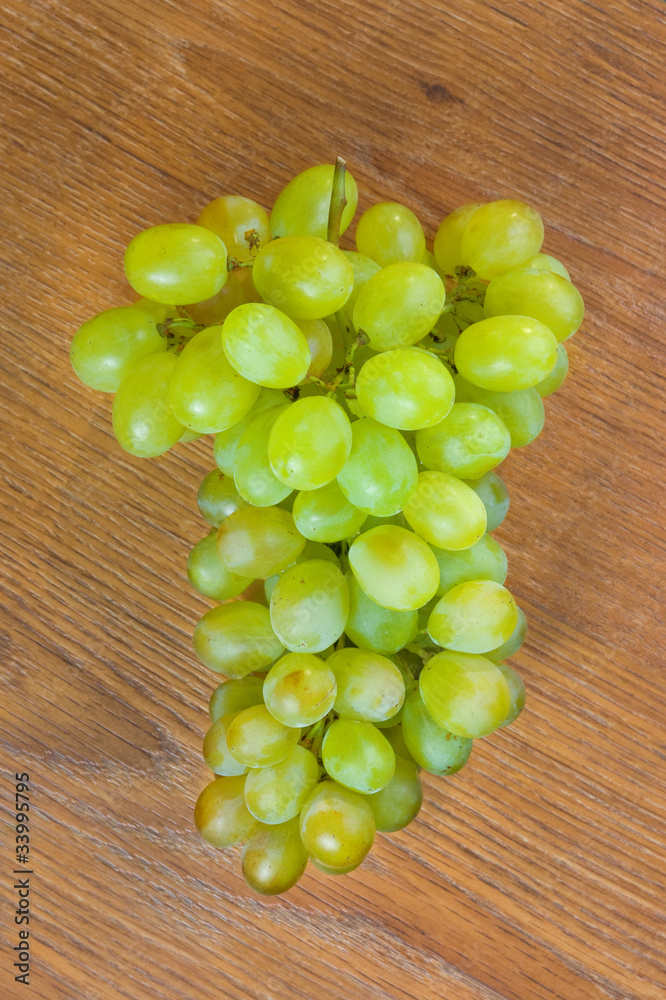 The branch of white grapes The branch of white grapes