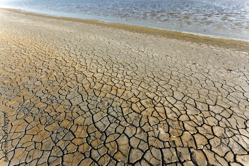 dry soil and water in Camargue, france